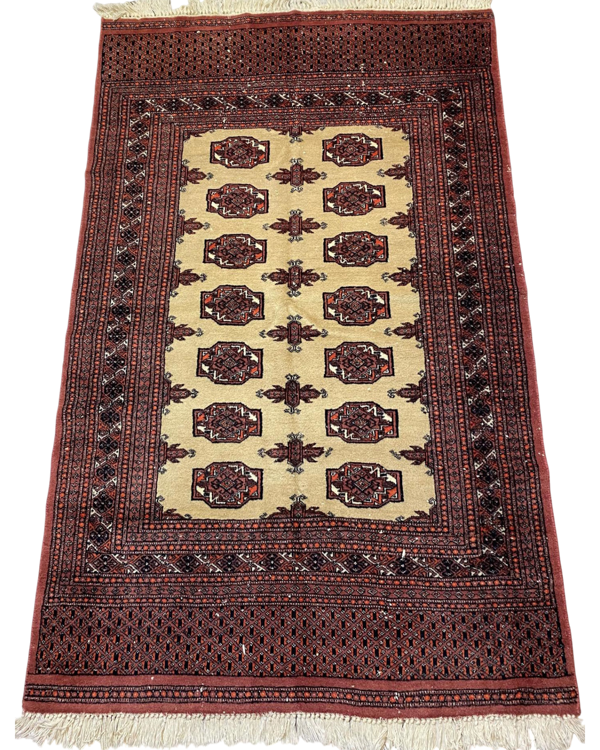 Tappeto Bukhara pakistano usato 170x123 cm annodato a mano con motivi gul su fondo avorio e bordure rosso mattone
