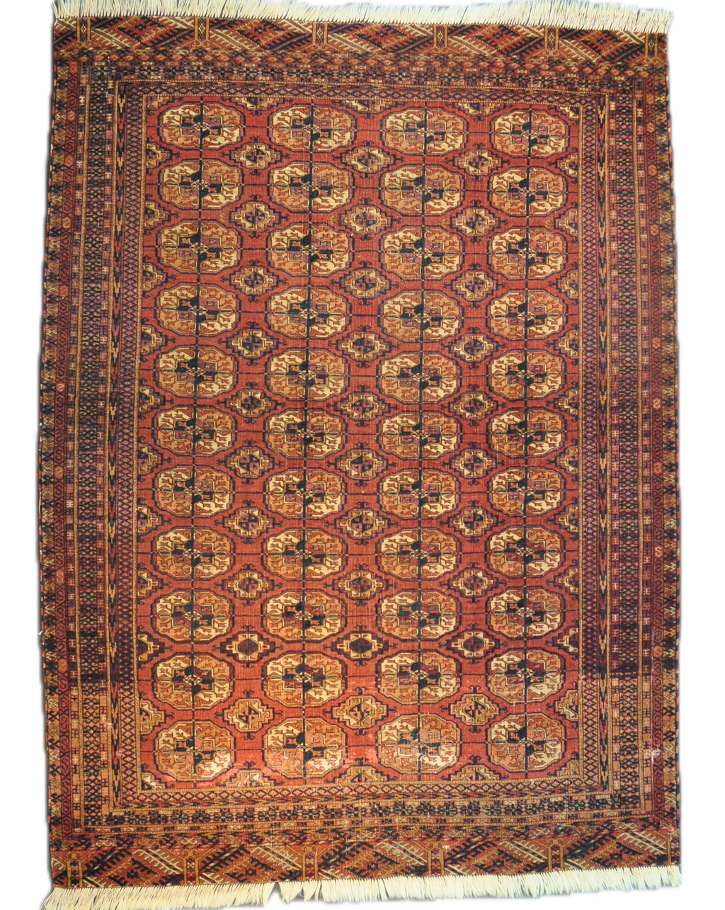 Tappeto Bukhara Russo Antico annodato a mano con tradizionali motivi gul su fondo rosso, misura 170x130 cm