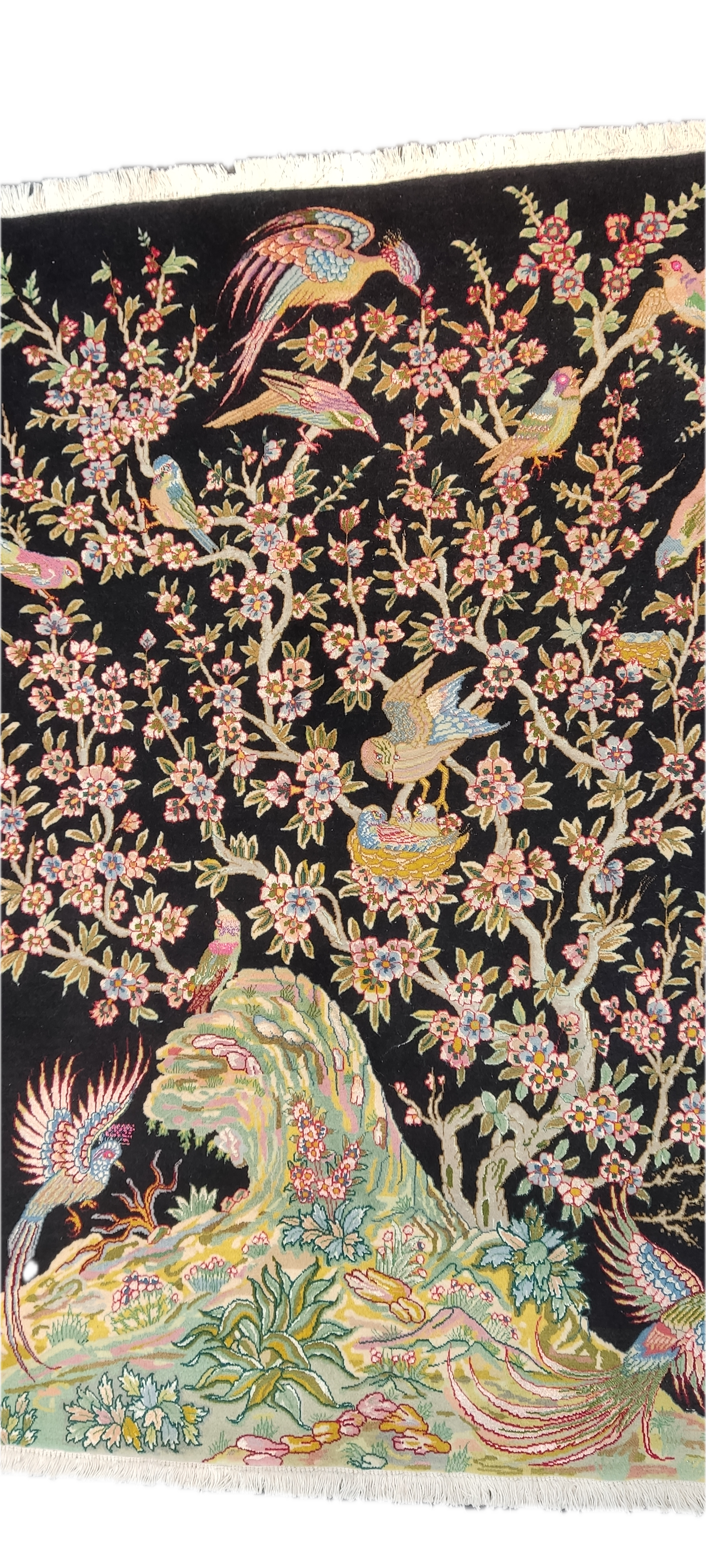 Tappeto persiano Tabriz Fine con motivo Albero della Vita e uccelli su fondo nero, misura 146x102 cm